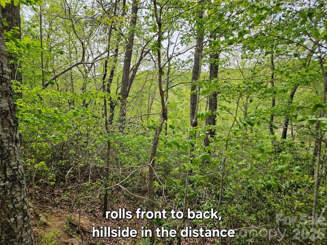 81 N Mill Ridge Road, Nebo, NC 28761