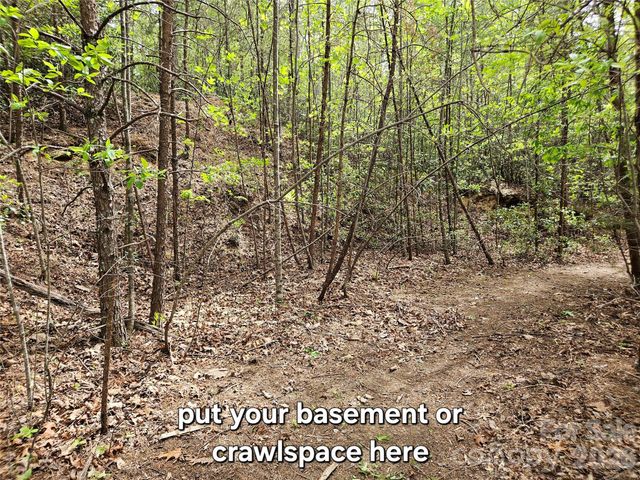 81 N Mill Ridge Road, Nebo, NC 28761