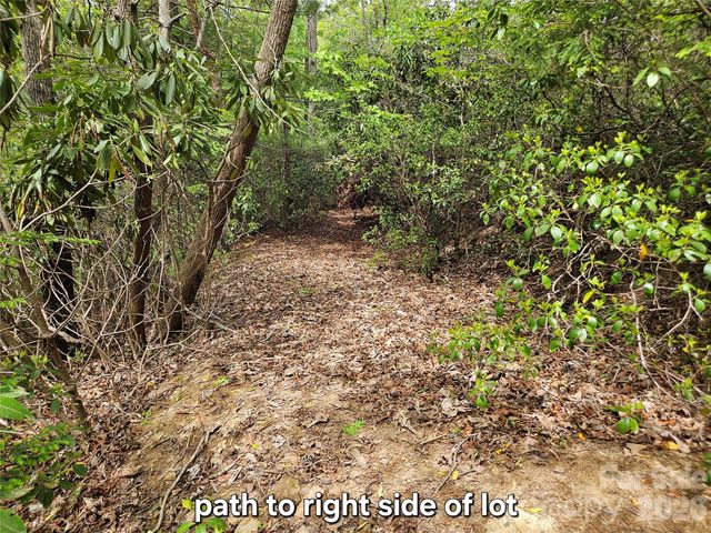 81 N Mill Ridge Road, Nebo, NC 28761