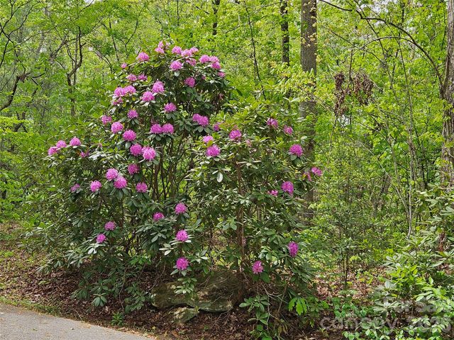 81 N Mill Ridge Road, Nebo, NC 28761