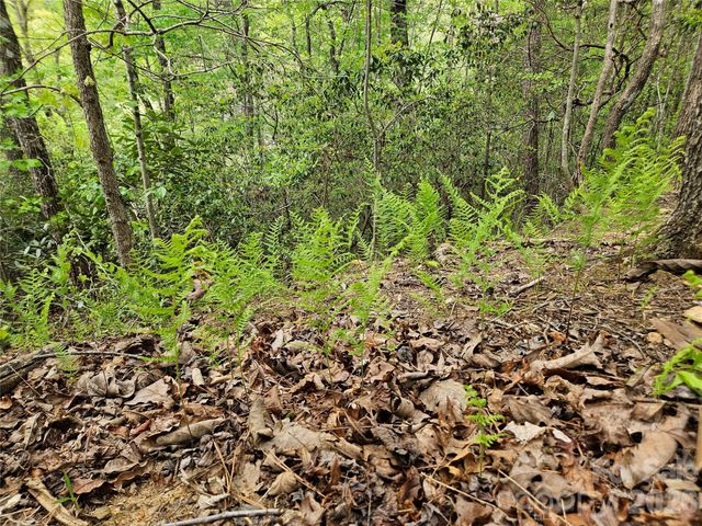 81 N Mill Ridge Road, Nebo, NC 28761