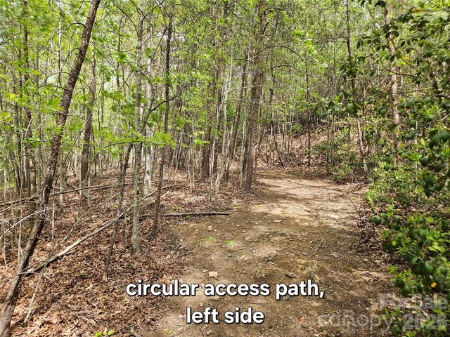 81 N Mill Ridge Road, Nebo, NC 28761