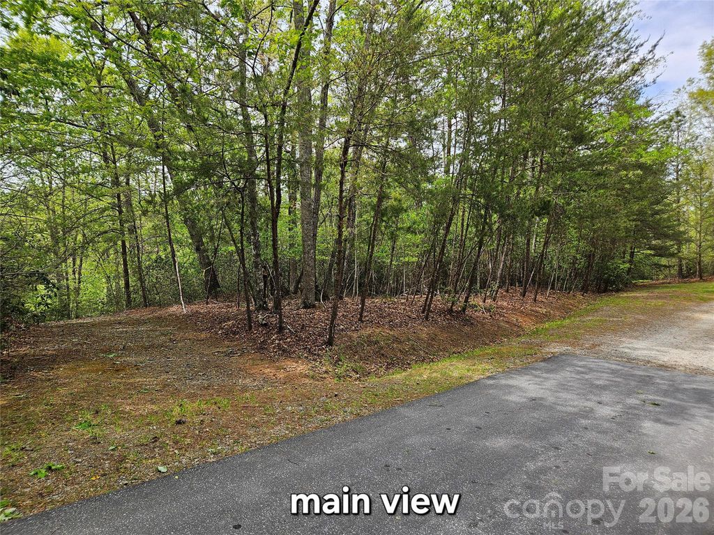 81 N Mill Ridge Road, Nebo, NC 28761