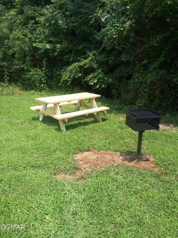 6018 Larkmoor Road, Cosby, TN 37722