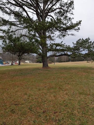 1360 Harris Hollow Road, Charlotte, TN 37036