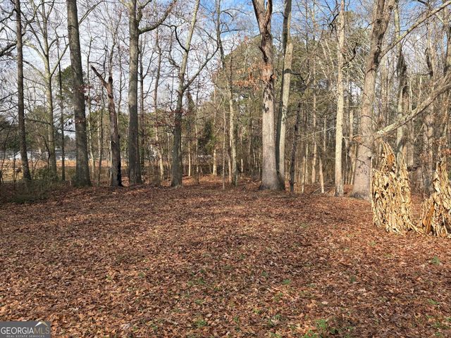 297 Park Place, Auburn, GA 30011