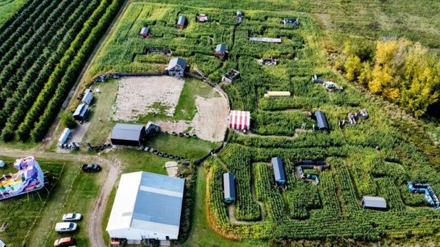 7737 Fruit Ridge Avenue NW, Sparta, MI 49345