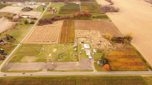 7737 Fruit Ridge Avenue NW, Sparta, MI 49345