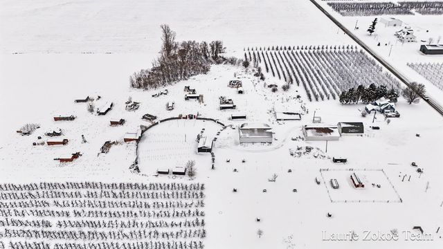 7737 Fruit Ridge Avenue NW, Sparta, MI 49345