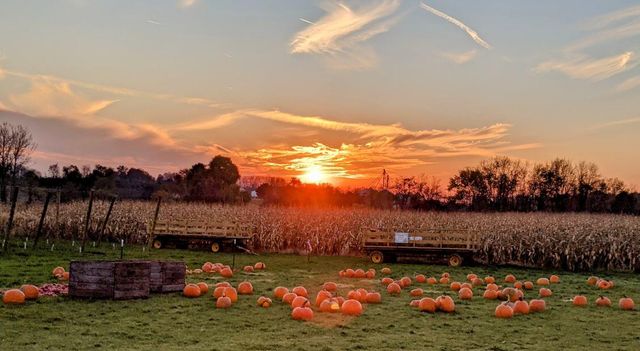 7737 Fruit Ridge Avenue NW, Sparta, MI 49345