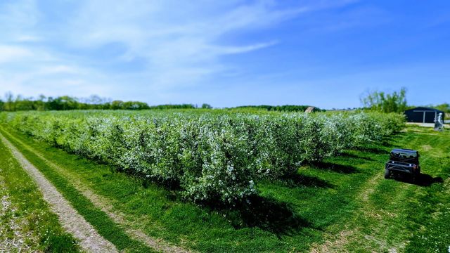 7737 Fruit Ridge Avenue NW, Sparta, MI 49345