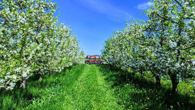 7737 Fruit Ridge Avenue NW, Sparta, MI 49345