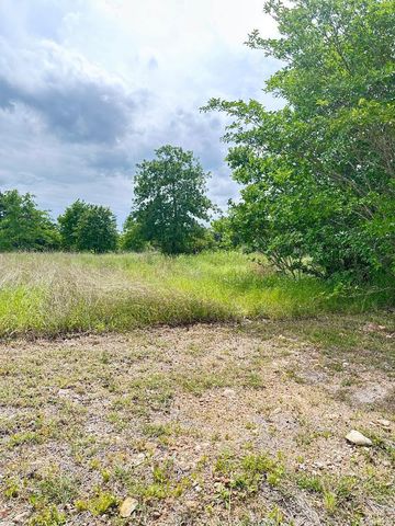 136 Wild Bird LOOP, Smithville, TX 78957