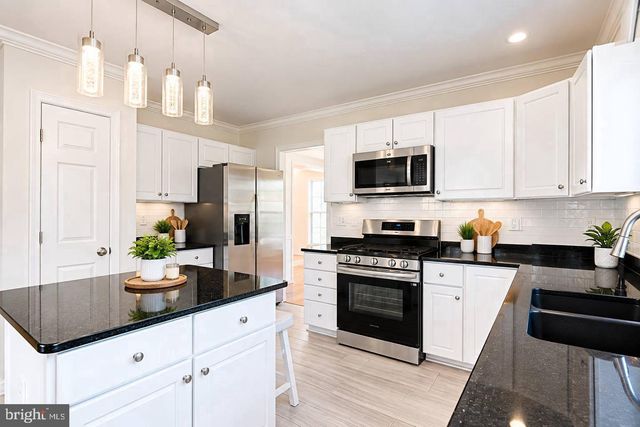 12303 MILESTONE MANOR LN, Germantown, MD 20876