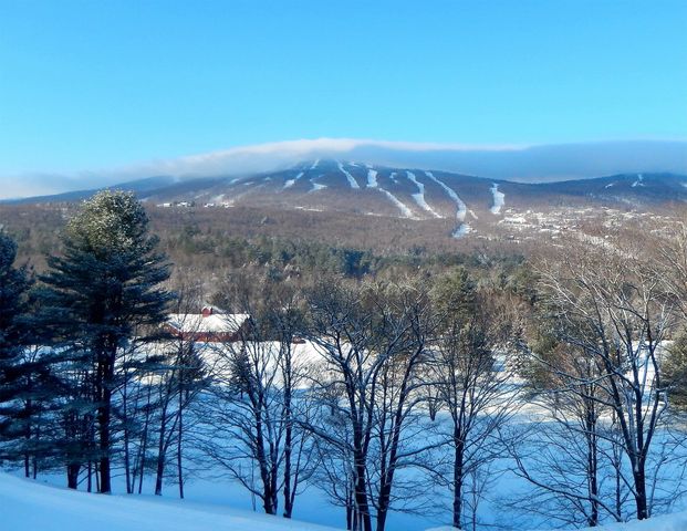 448 Qtr. I V Jackson Gore Inn, Ludlow, VT 05149