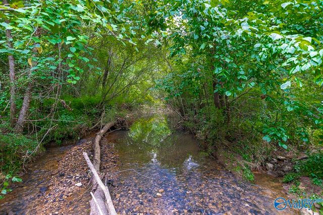 115 Pitalo Street, Madison, AL 35758
