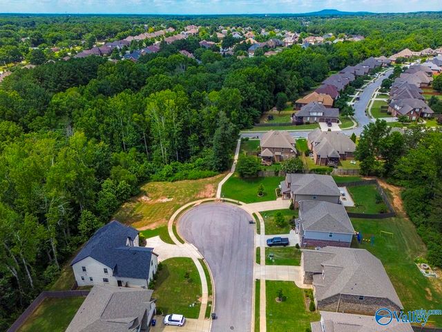 115 Pitalo Street, Madison, AL 35758