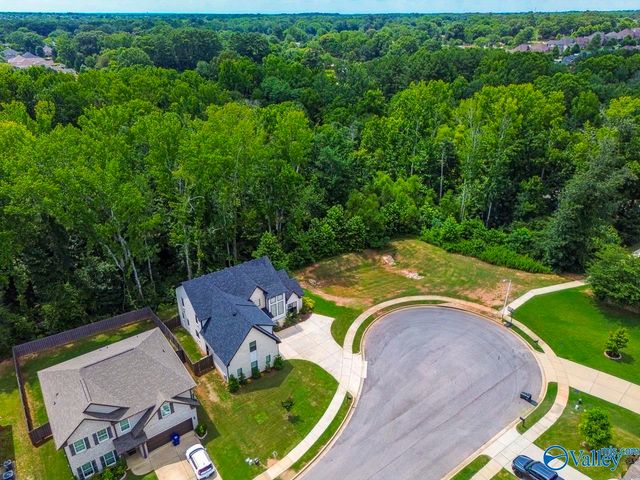 115 Pitalo Street, Madison, AL 35758