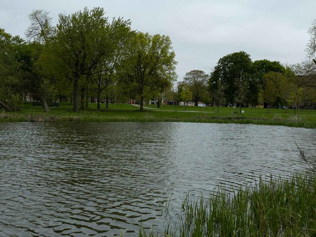 3806 W Washington Boulevard D1, Chicago, IL 60624