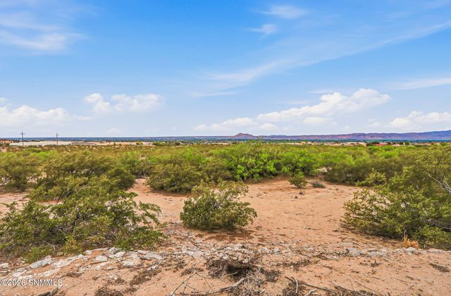 2212 Stone Pine Drive, Las Cruces, NM 88012