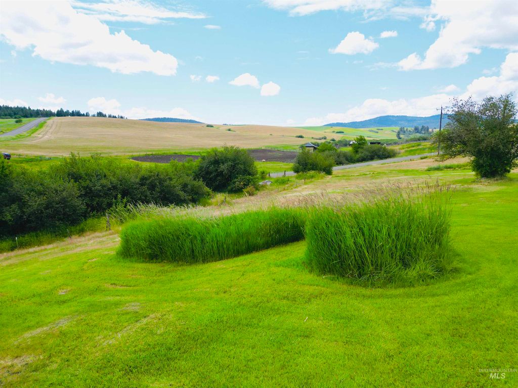 807 Trestle Drive, CottonWood, ID 83522 photo 2