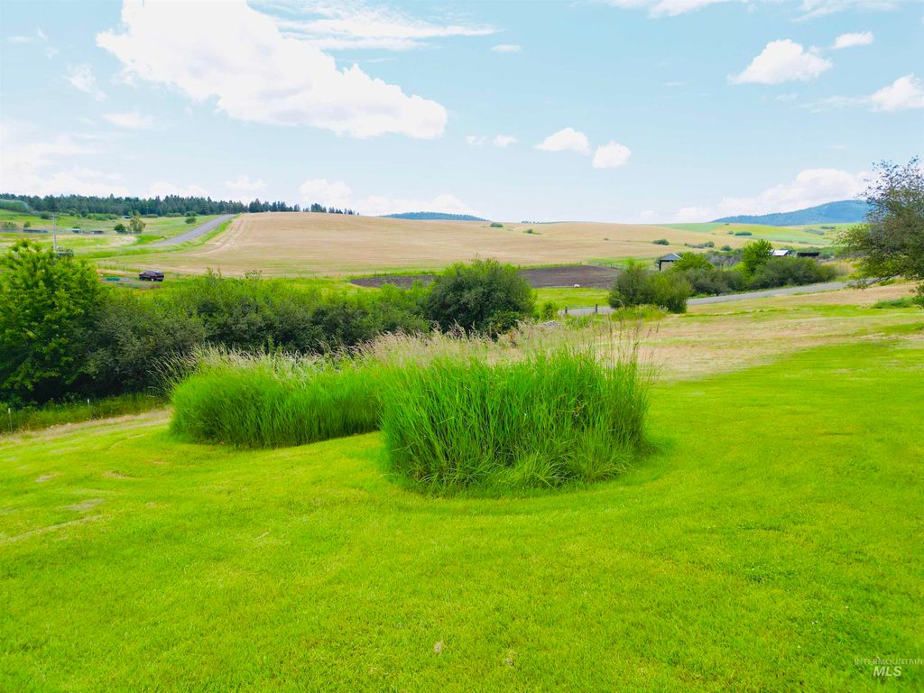 807 Trestle Drive, CottonWood, ID 83522 photo 5