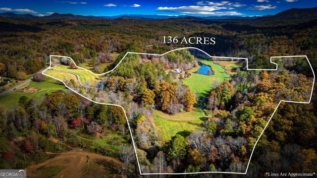 2650 Cutcane Road, Mineral Bluff, GA 30559