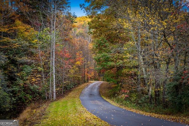 2650 Cutcane Road, Mineral Bluff, GA 30559