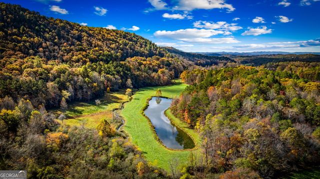 2650 Cutcane Road, Mineral Bluff, GA 30559