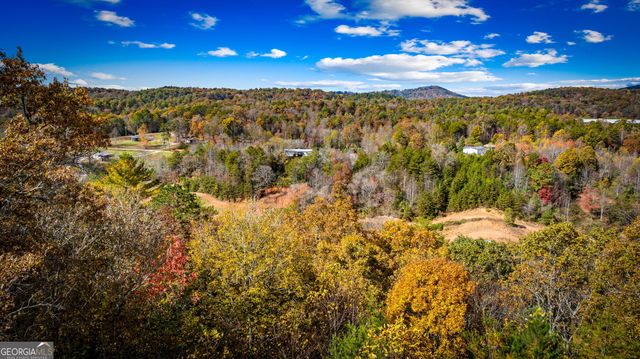 2650 Cutcane Road, Mineral Bluff, GA 30559
