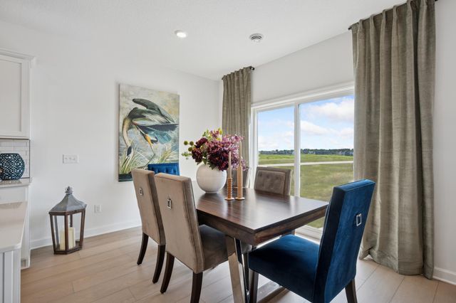 20153 Ginseng Way, Lakeville, MN 55044