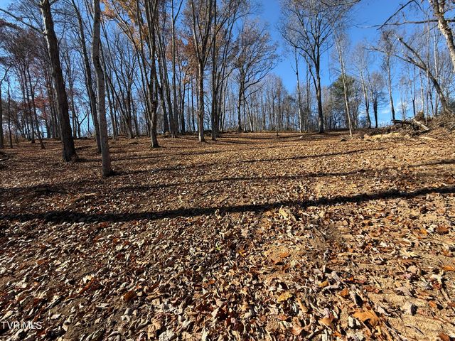 0 Milligan Highway, Johnson City, TN 37601