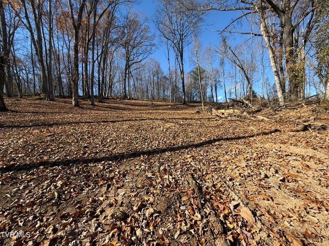 0 Milligan Highway, Johnson City, TN 37601