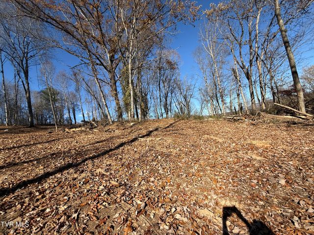 0 Milligan Highway, Johnson City, TN 37601