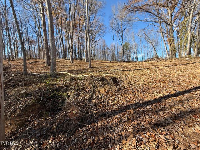 0 Milligan Highway, Johnson City, TN 37601