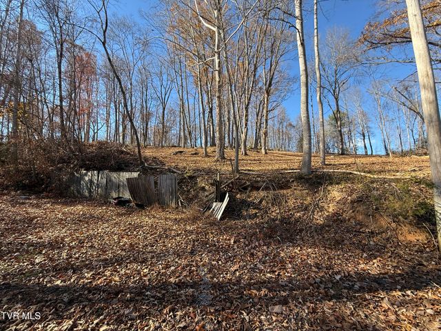 0 Milligan Highway, Johnson City, TN 37601