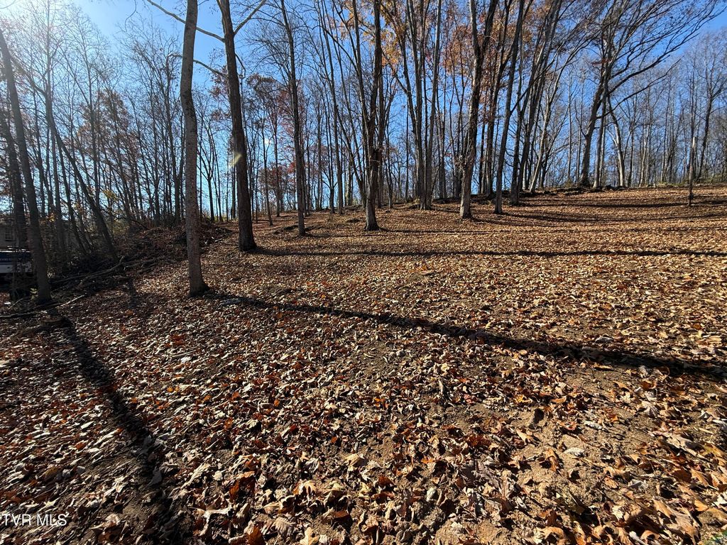 0 Milligan Highway, Johnson City, TN 37601