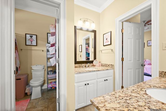 13573 Bluff Point Dr, Geismar, LA 70734