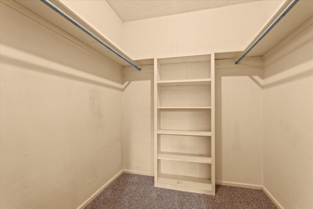 312 Cottonwood Lane, Levelland, TX 79336