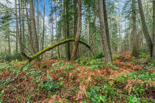 0 SW 220th Street, Vashon, WA 98070