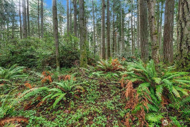 0 SW 220th Street, Vashon, WA 98070