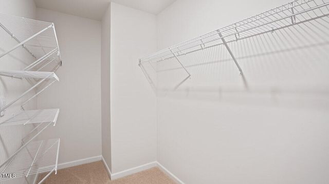 3608 Turney Drive, Raleigh, NC 27610