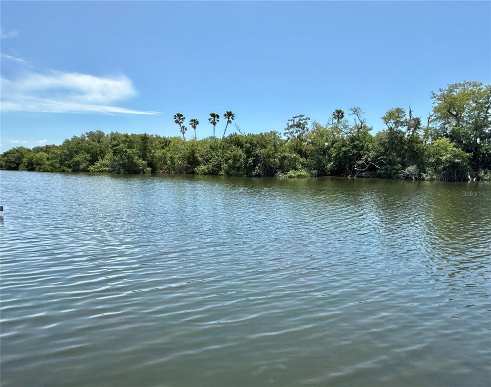 460 MOUNT OAK AVENUE NE 745, St Petersburg, FL 33702