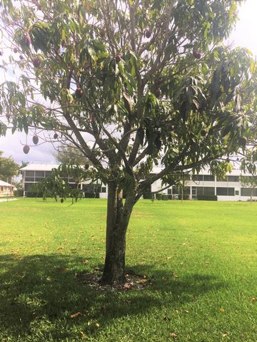 215 Windsor J, West Palm Beach, FL 33417
