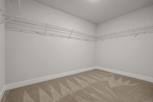 17317 Megan Drive, Macomb Twp, MI 48042
