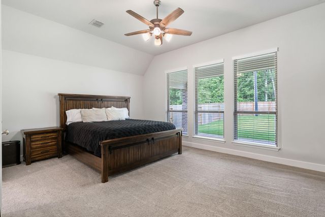 228 W Netleaf Court, Montgomery, TX 77316