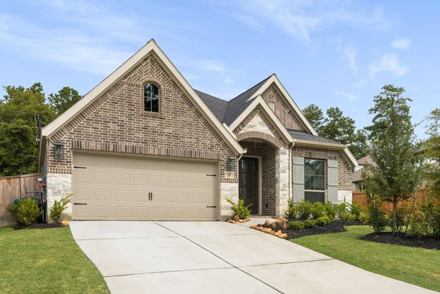 228 W Netleaf Court, Montgomery, TX 77316