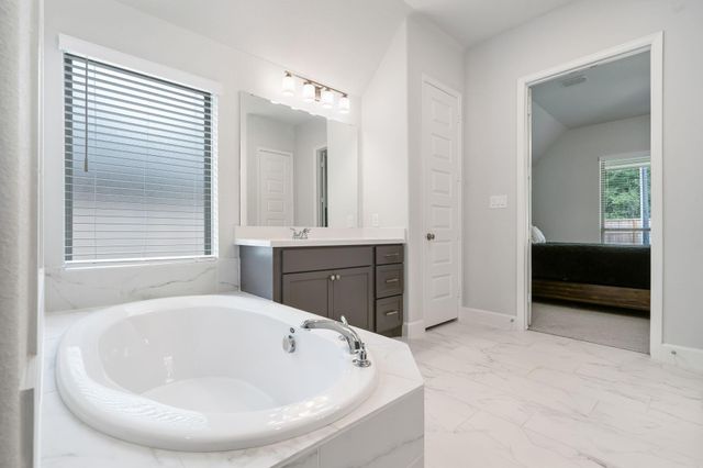 228 W Netleaf Court, Montgomery, TX 77316