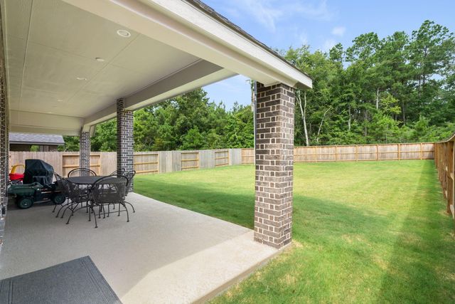 228 W Netleaf Court, Montgomery, TX 77316