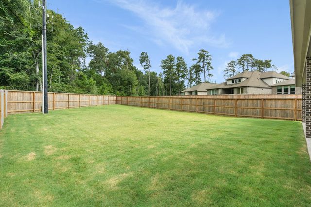228 W Netleaf Court, Montgomery, TX 77316